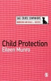 Child Protection (eBook, ePUB)