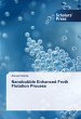 Nanobubble Enhanced Froth Flotation... - Bild 1