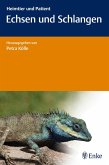 Echsen und Schlangen Echsen und Schlangen