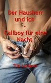 Der Hausherr und ich - Callboy für eine Nacht (eBook, ePUB)