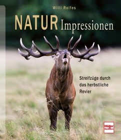 NaturImpressionen - Rolfes, Willi; Böckermann, Tobias