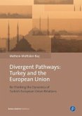 Divergent Pathways: Turkey and the European Union