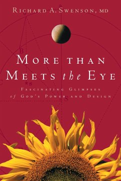 More Than Meets the Eye (eBook, ePUB) - Swenson, Richard