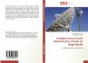 Codage Source-Canal Robuste de la... - Bild 1