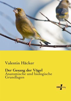 Der Gesang der Vögel - Häcker, Valentin