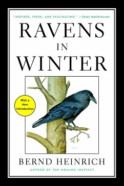 Ravens in Winter - Heinrich, Bernd