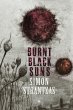 Burnt Black Suns - Bild 1