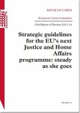 Strategic Guidelines for the Eu's Next Justice and Home Affairs Programme: Steady as She Goes