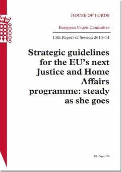 Strategic Guidelines for the Eu's Next Justice and Home Affairs Programme: Steady as She Goes