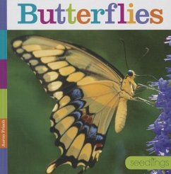 Butterflies - Frisch, Aaron