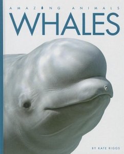 Whales - Riggs, Kate