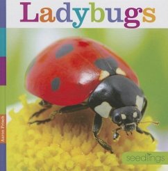 Ladybugs - Frisch, Aaron