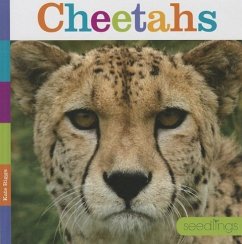 Cheetahs - Riggs, Kate