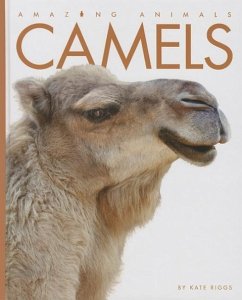 Camels - Riggs, Kate