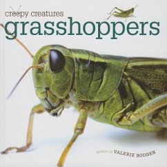 Grasshoppers - Bodden, Valerie