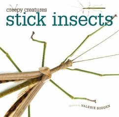 Stick Insects - Bodden, Valerie