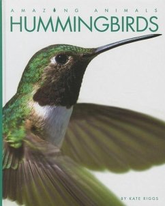 Hummingbirds - Riggs, Kate