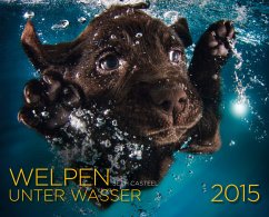 Welpen unter Wasser 2015 - Casteel, Seth