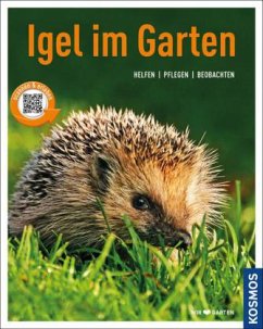 Igel im Garten - Neumeier, Monika