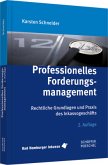 Professionelles Forderungsmanagement Professionelles Forderungsmanagement