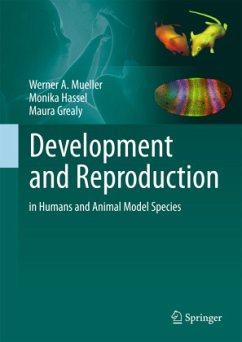 Development and Reproduction in Humans and Animal Model Species - Mueller, Werner A.;Hassel, Monika;Grealy, Maura
