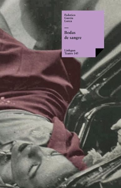 Bodas de sangre (eBook, ePUB)