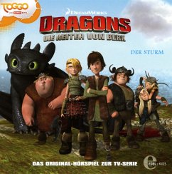 Dragons - Die Reiter von Berk - Der Sturm