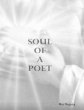 Soul of a Poet (eBook, ePUB) - Bild 1