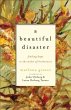 Beautiful Disaster (eBook, ePUB) - Bild 1