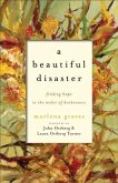 Beautiful Disaster (eBook, ePUB)