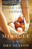 Miracle in a Dry Season (Appalachian Blessings Book #1) (eBook, ePUB) Miracle in a Dry Season (Appalachian Blessings Book #1) (eBook, ePUB)