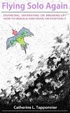 Flying Solo Again (eBook, ePUB)