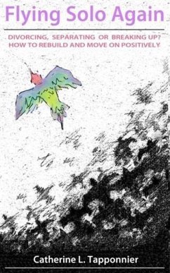 Cover Flying Solo Again (eBook, ePUB)