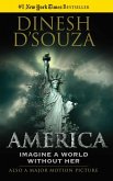 America (eBook, ePUB)