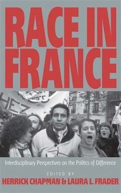 Race in France (eBook, PDF)