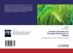 Genetic Diversity For Drought Resistance In Wheat