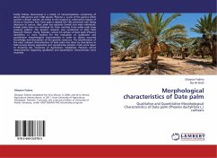 Morphological characteristics of Date palm