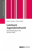 Lehrbuch Jugendstrafrecht (eBook, PDF)