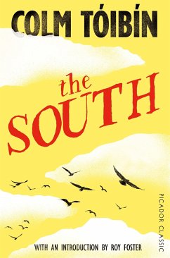 The South - Toibin, Colm