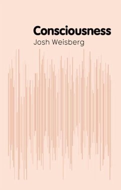 Consciousness - Weisberg, Josh