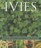 Ivies: An Illustrated Guide to Varieties, Cultivation and Care, with Step-By-Step Instructions and Over 150 Inspiring Photogr