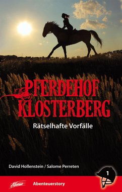 Pferdehof Klosterberg - Rätselhafte Vorfälle - David Hollenstein, Salome Perreten