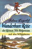 Wunderbare Reise des kleinen Nils Holgersson mit den Wildgänsen (eBook, ePUB)