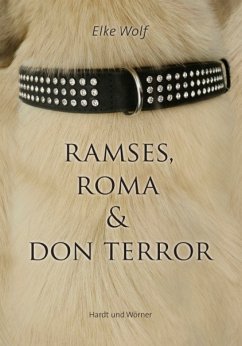 Ramses, Roma und Don Terror (eBook, PDF)