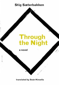 Cover Through the Night (eBook, ePUB)
