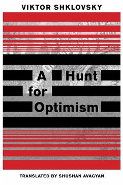 Cover A Hunt for Optimism (eBook, ePUB)