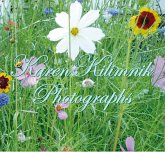 Photographs Photographs
