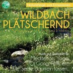 Wildbach Plätschernd