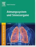 Atmungssystem und Sinnesorgane