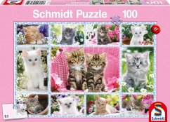 Schmidt 56135 - Schmidt, Katzenbabys